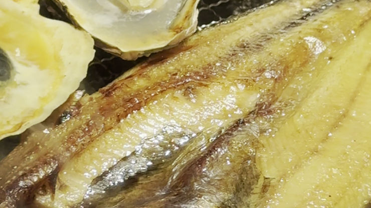 集合ショート,2026,03,01